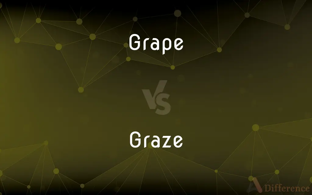 Grape vs. Graze — What's the Difference?