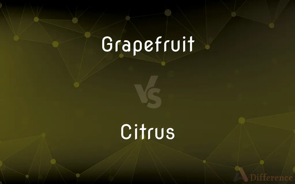 Grapefruit vs. Citrus — What's the Difference?
