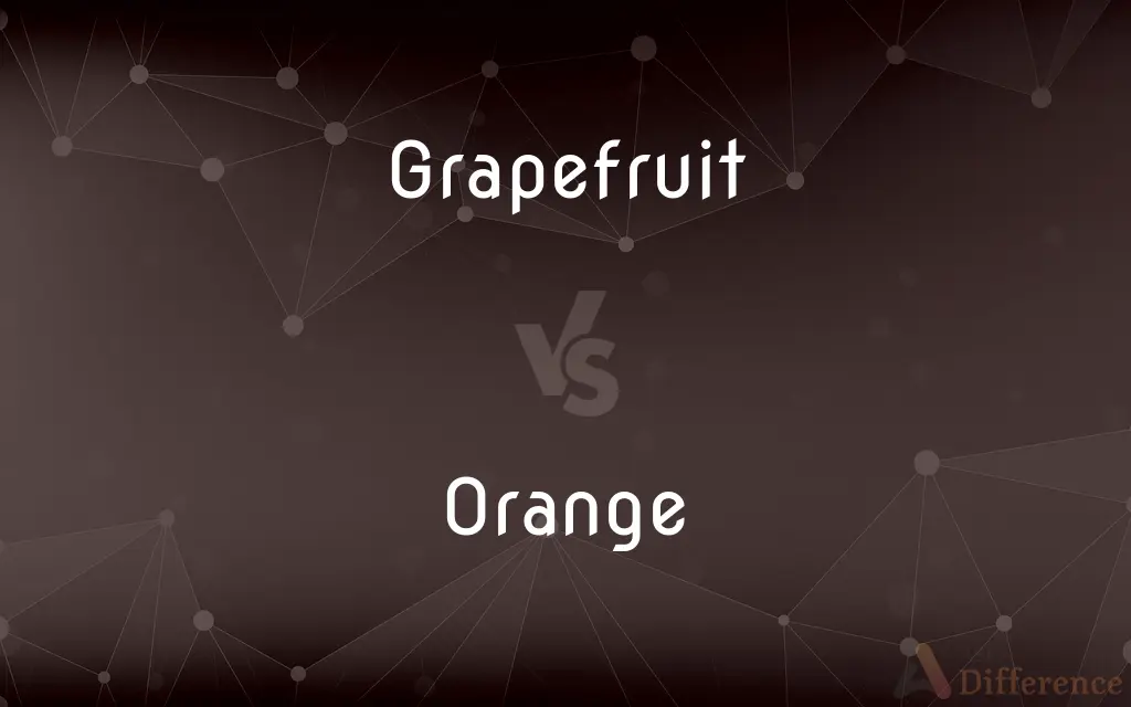 Grapefruit vs. Orange — What's the Difference?