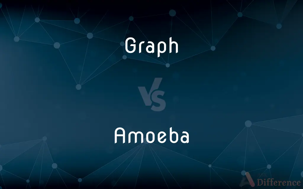Graph vs. Amoeba — What's the Difference?