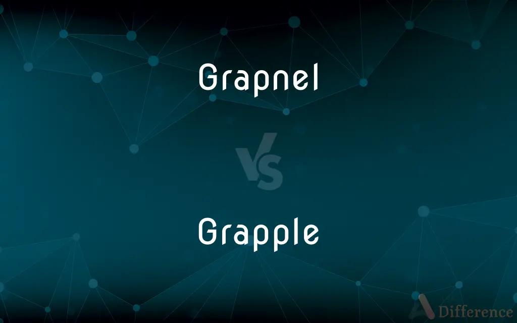 Grapnel vs. Grapple — What's the Difference?