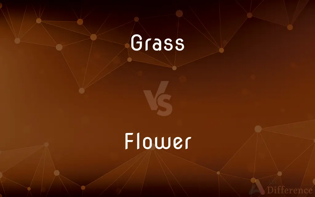 Grass vs. Flower — What's the Difference?