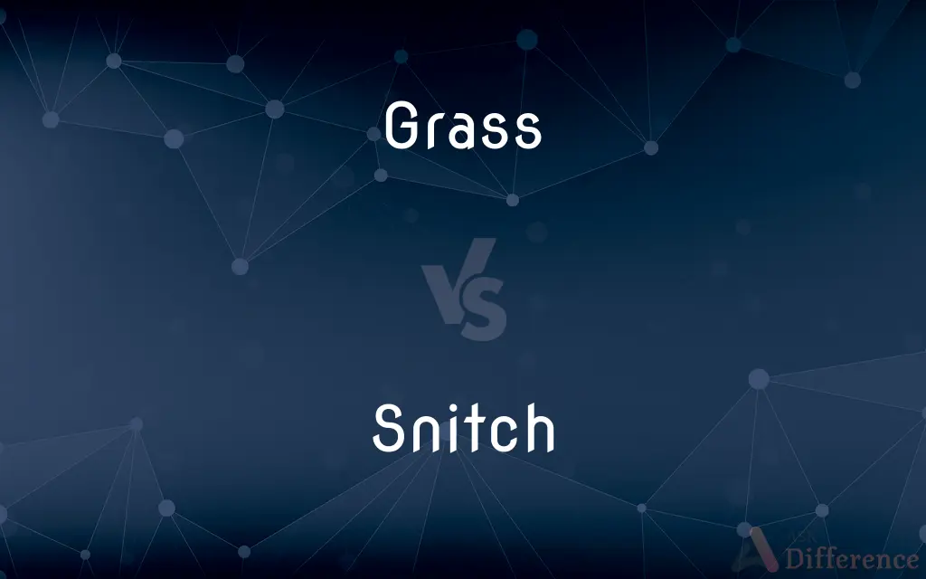 Grass vs. Snitch — What's the Difference?