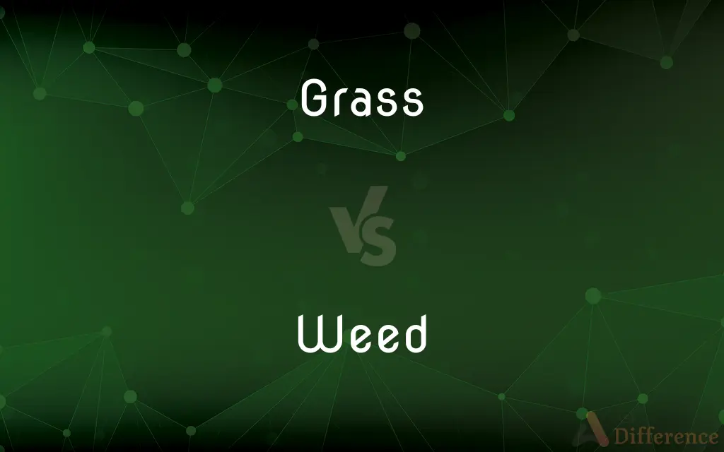 Grass vs. Weed — What's the Difference?