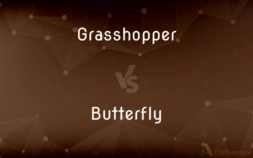 Grasshopper vs. Butterfly — What's the Difference?