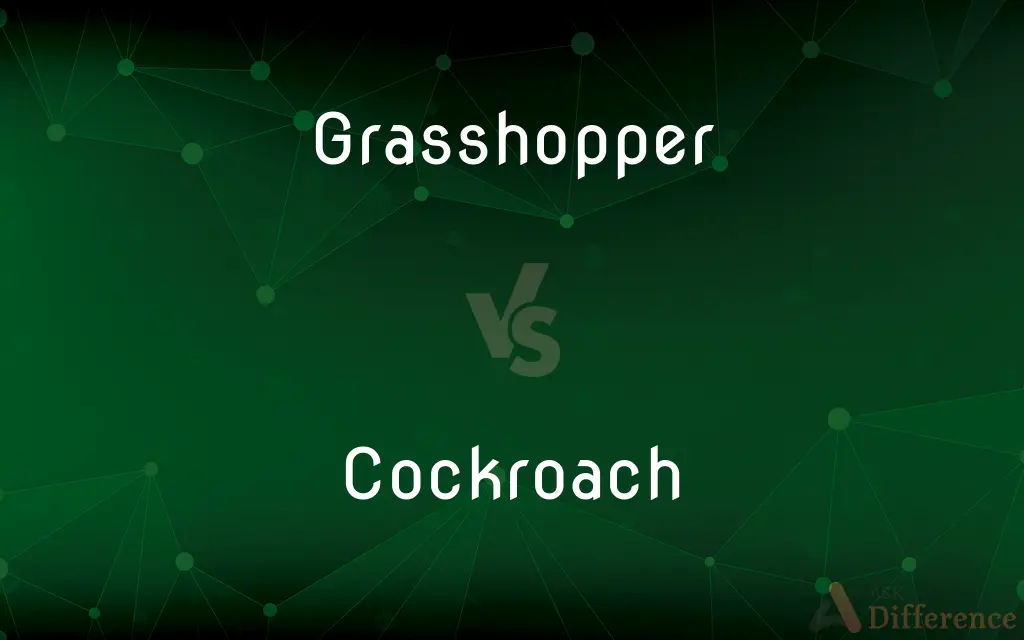 Grasshopper vs. Cockroach — What's the Difference?