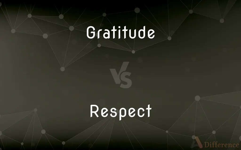 Gratitude vs. Respect — What's the Difference?