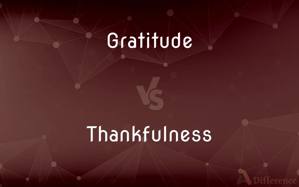 Gratitude vs. Thankfulness — What's the Difference?
