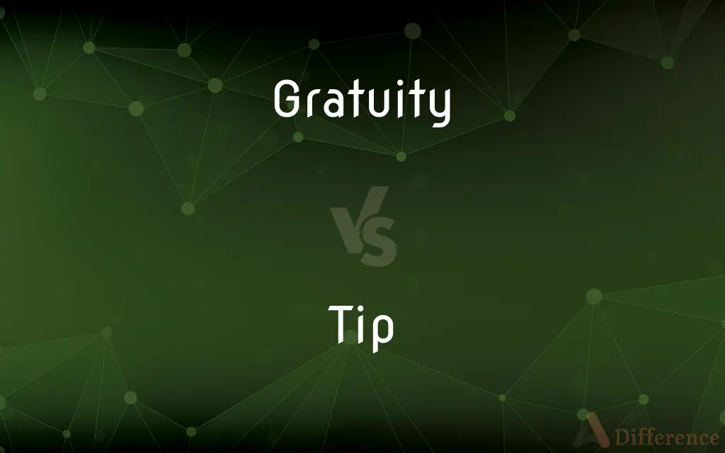 Gratuity vs. Tip — What's the Difference?