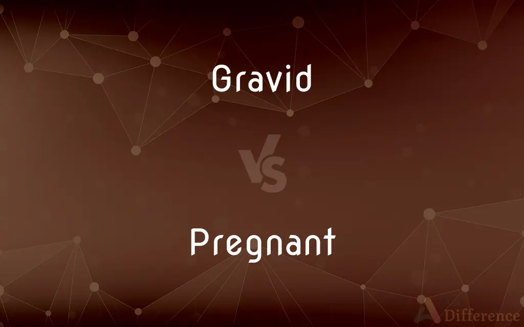 Gravid vs. Pregnant — What's the Difference?