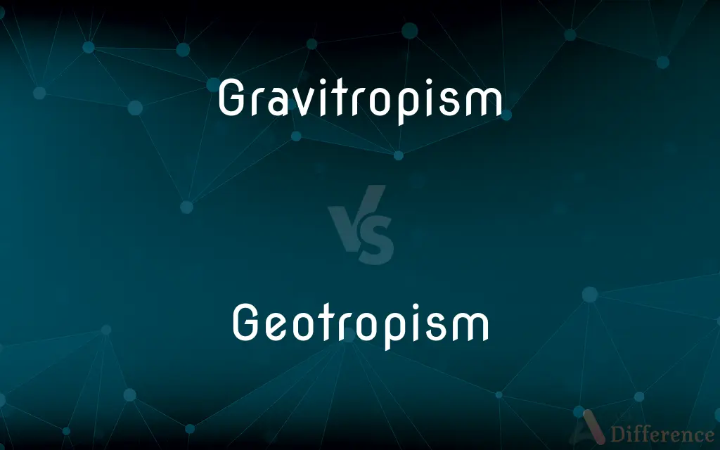 Gravitropism vs. Geotropism — What's the Difference?