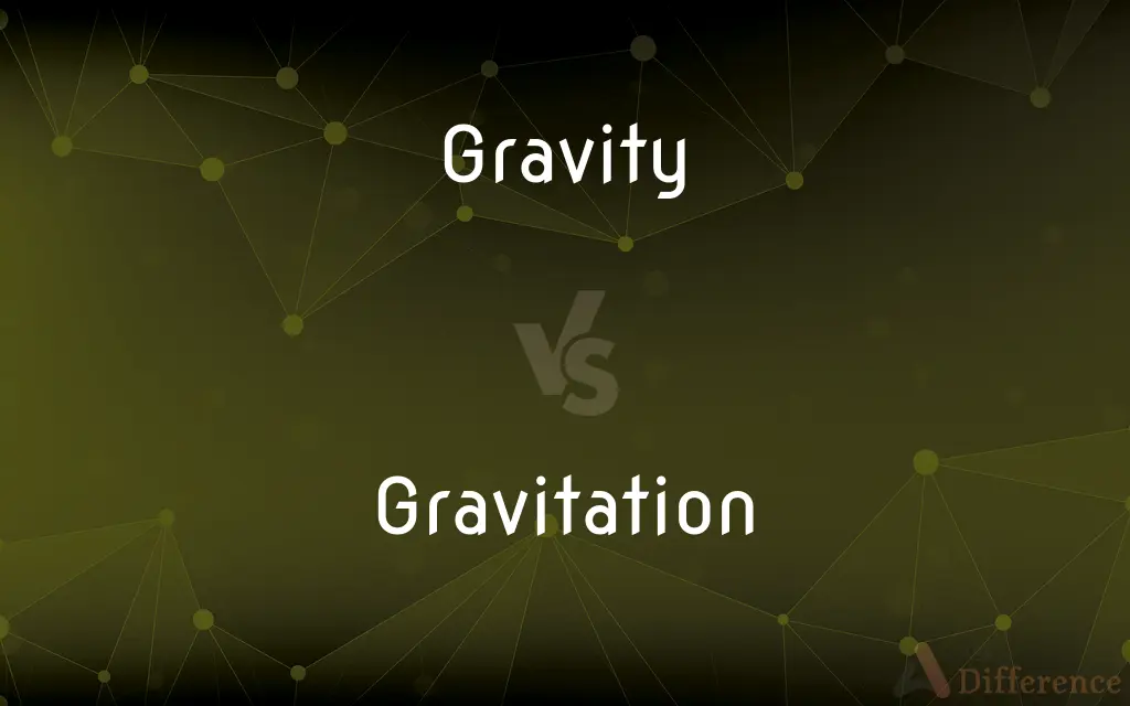Gravity vs. Gravitation — What's the Difference?