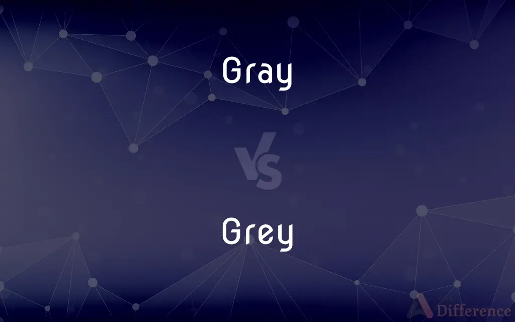 Gray vs. Grey — What's the Difference?