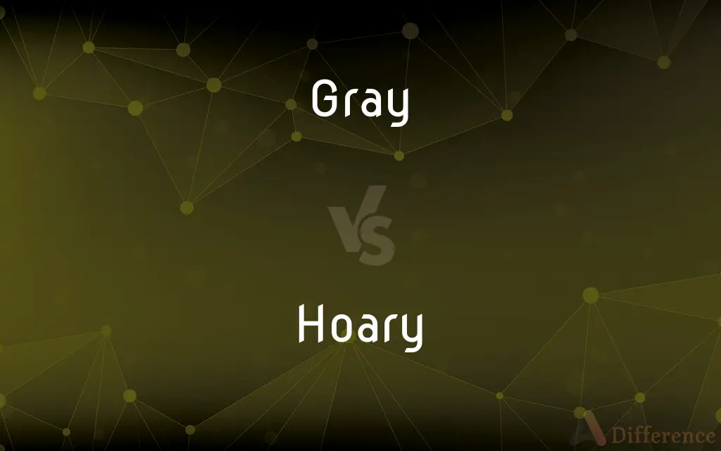 Gray vs. Hoary — What's the Difference?