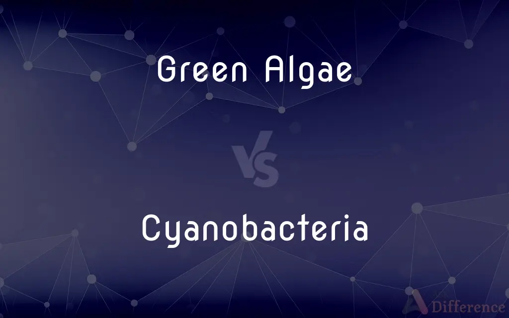 Green Algae vs. Cyanobacteria — What's the Difference?