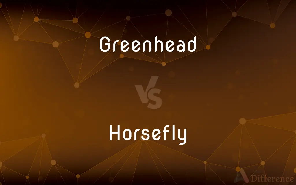 Greenhead vs. Horsefly — What's the Difference?