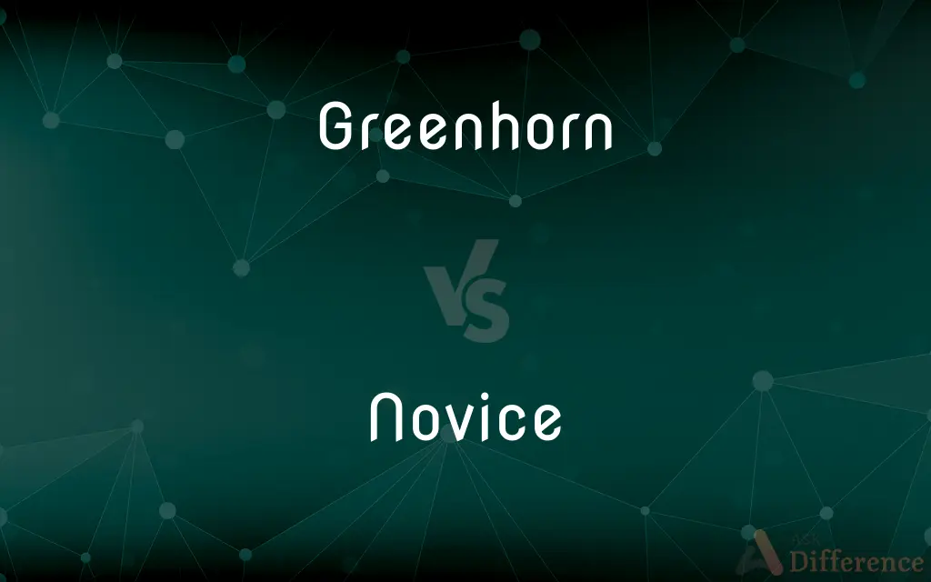 Greenhorn vs. Novice — What's the Difference?