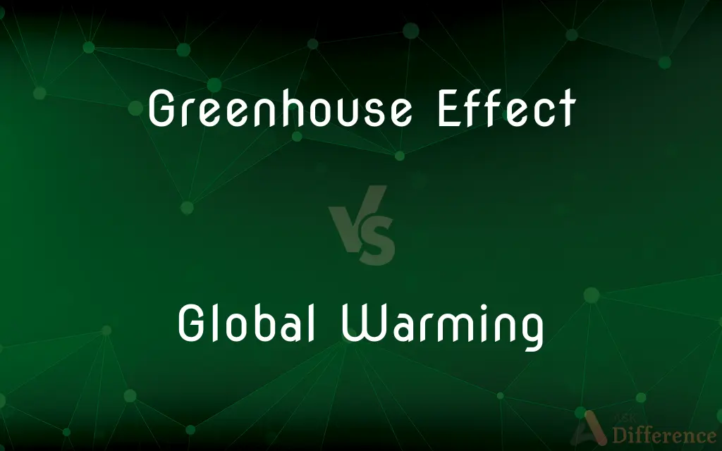 Greenhouse Effect vs. Global Warming — What's the Difference?