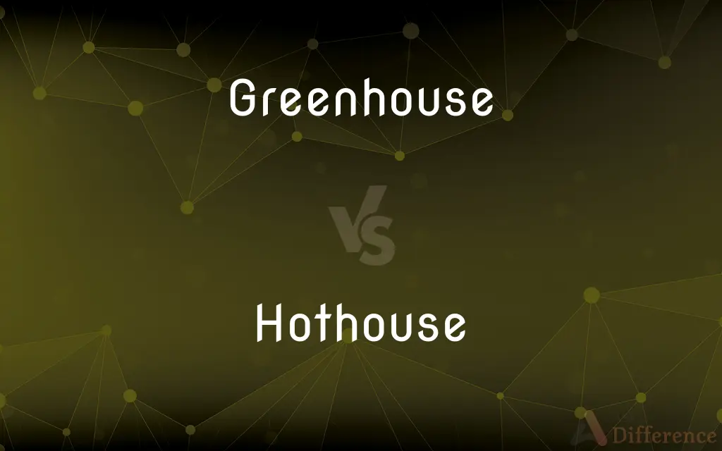 Greenhouse vs. Hothouse — What's the Difference?