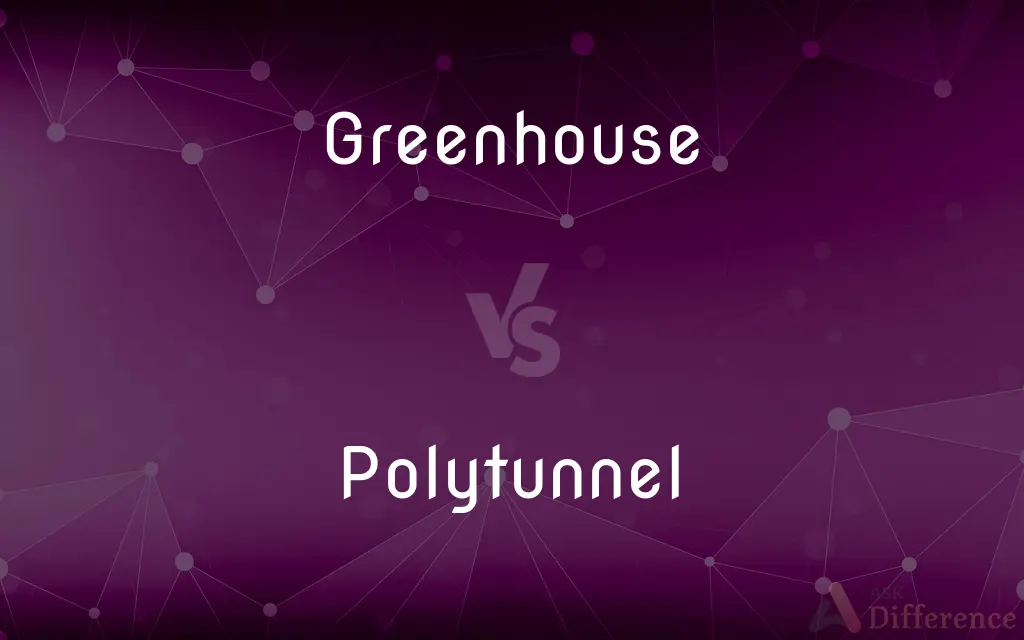 Greenhouse vs. Polytunnel — What's the Difference?