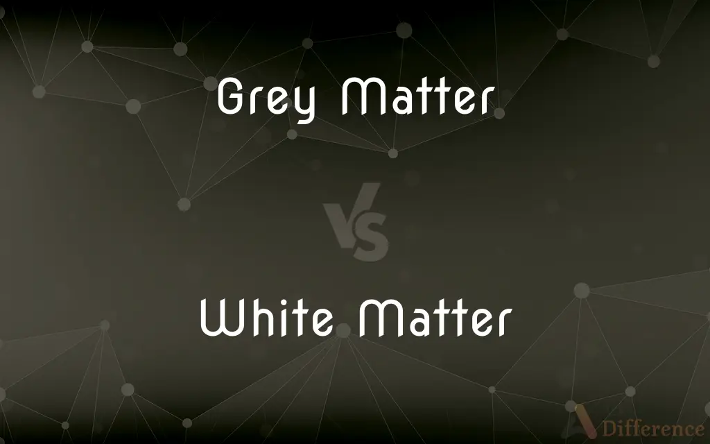 Grey Matter vs. White Matter — What's the Difference?