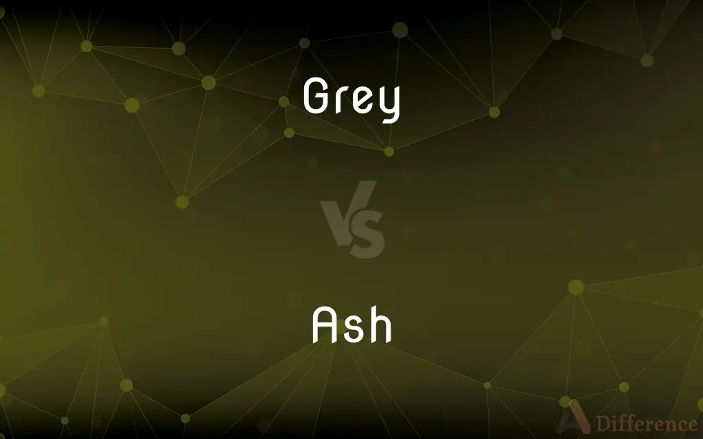 Grey vs. Ash — What's the Difference?