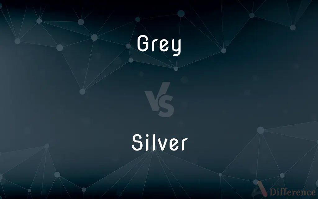 Grey vs. Silver — What's the Difference?