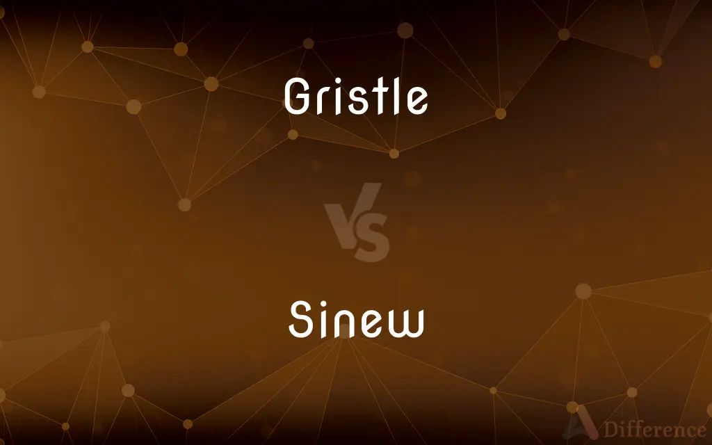 Gristle vs. Sinew — What's the Difference?