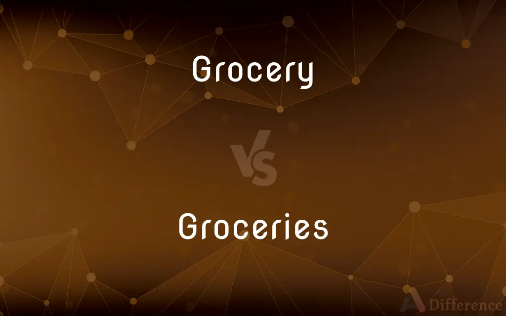 Grocery vs. Groceries — What's the Difference?
