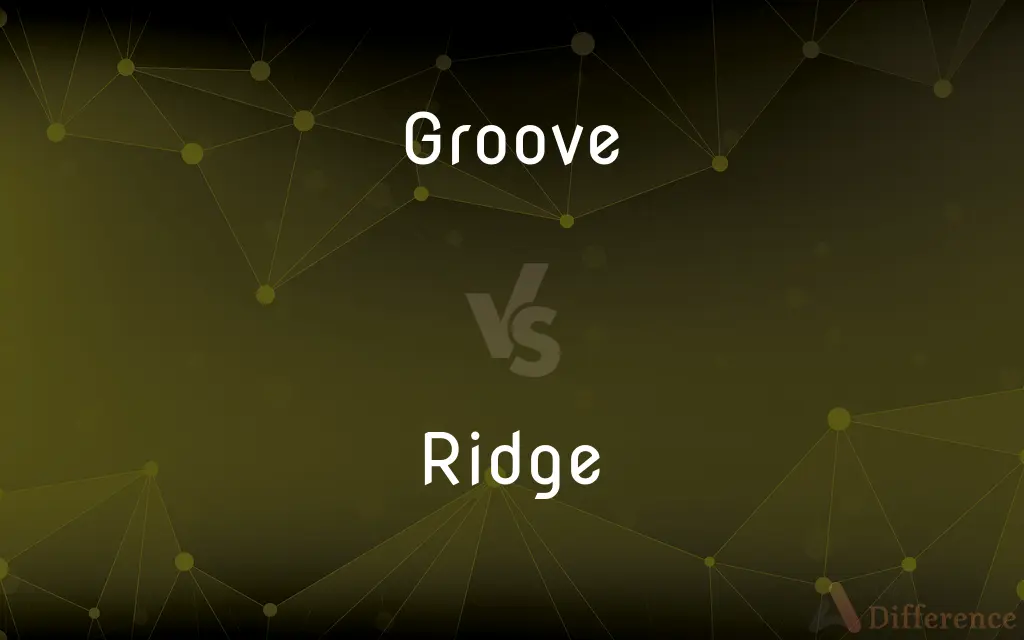Groove vs. Ridge — What's the Difference?