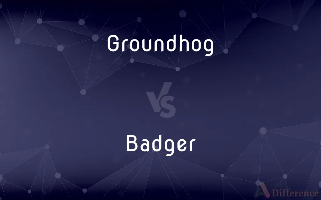 Groundhog vs. Badger — What's the Difference?