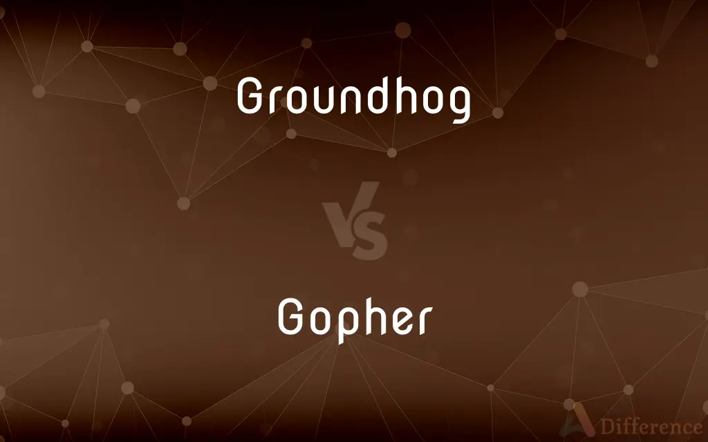 Groundhog vs. Gopher — What's the Difference?