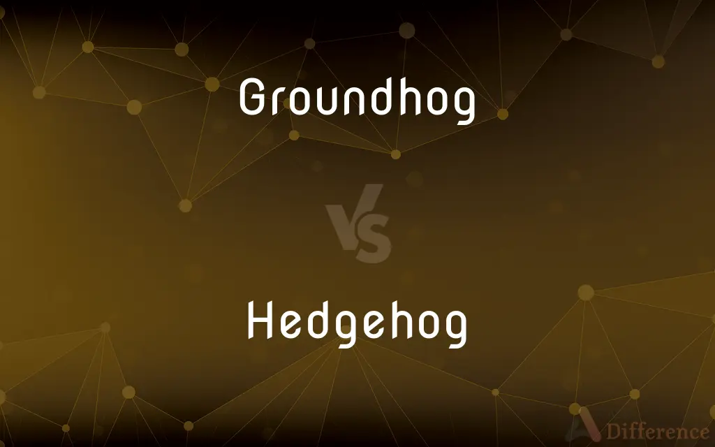 Groundhog vs. Hedgehog — What's the Difference?