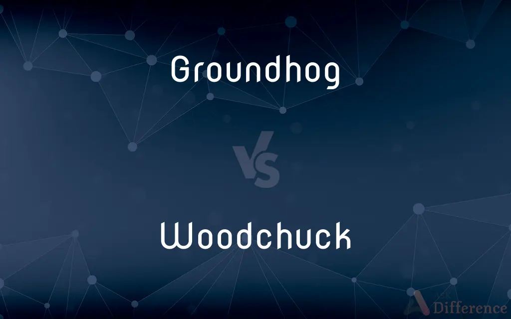 Groundhog vs. Woodchuck — What's the Difference?