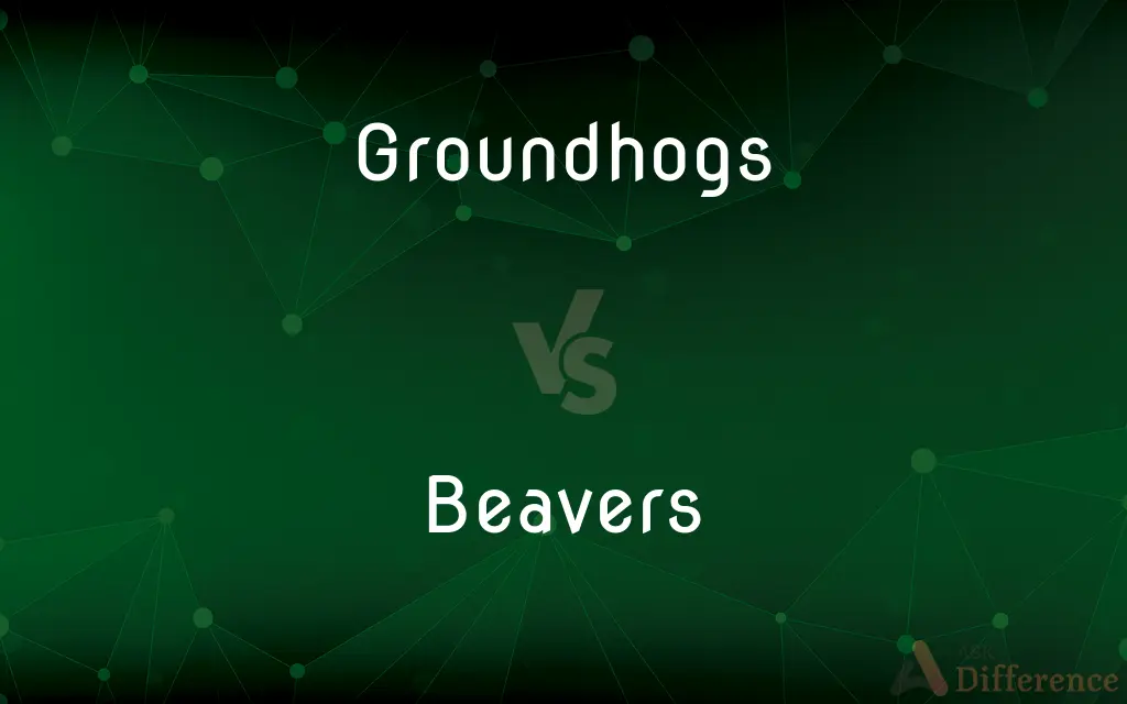 Groundhogs vs. Beavers — What's the Difference?