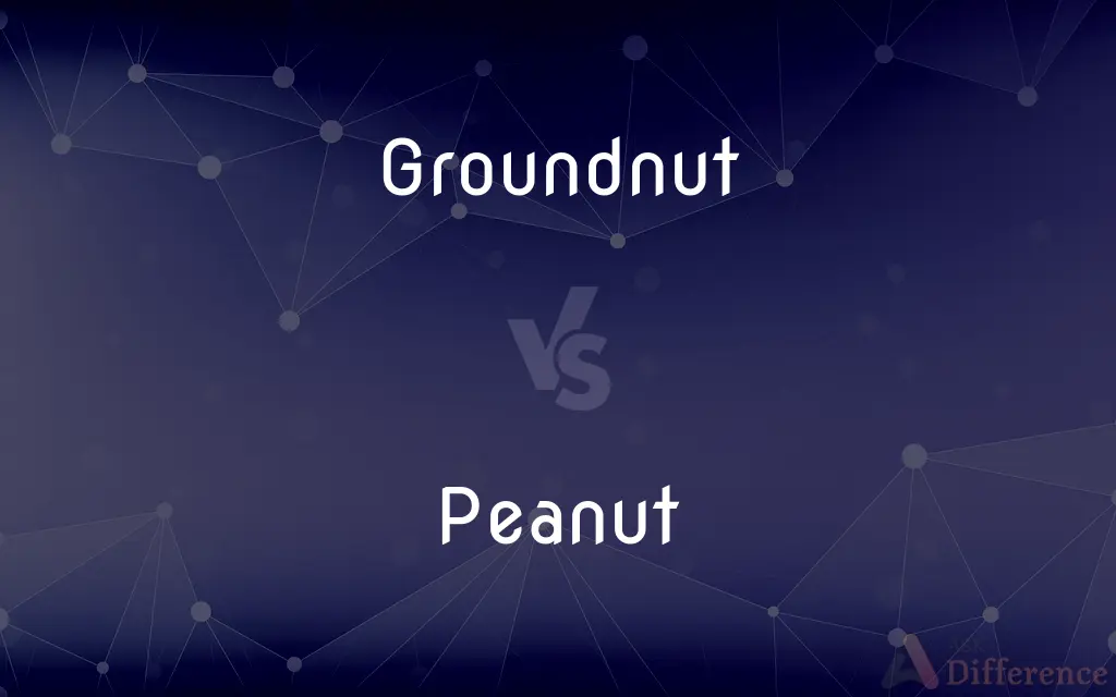 Groundnut vs. Peanut — What's the Difference?