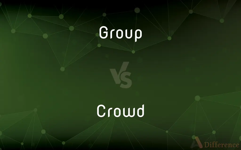 Group vs. Crowd — What's the Difference?