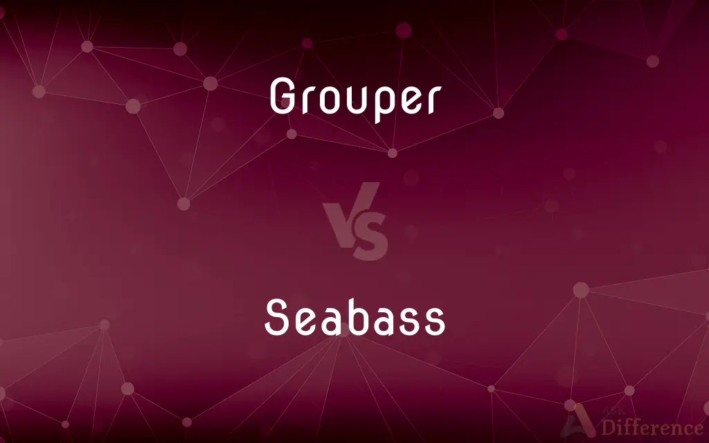 Grouper vs. Seabass — What's the Difference?