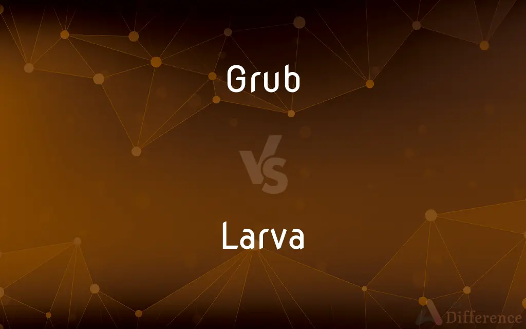 Grub vs. Larva — What's the Difference?