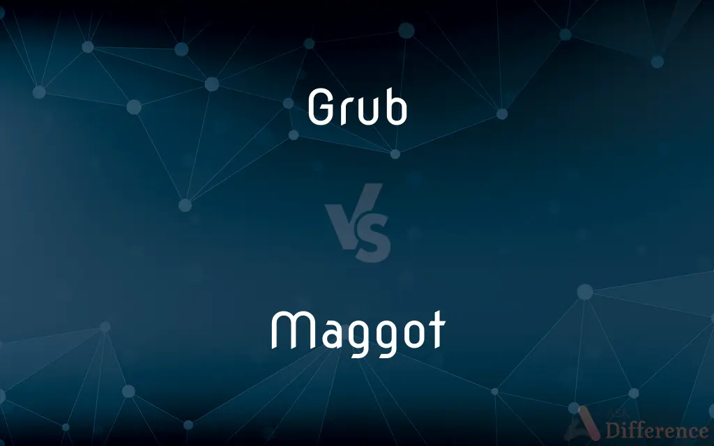 Grub vs. Maggot — What's the Difference?