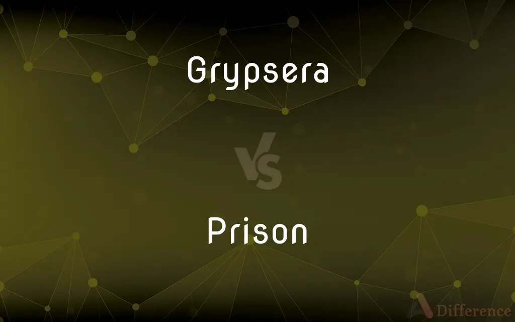 Grypsera vs. Prison — What's the Difference?
