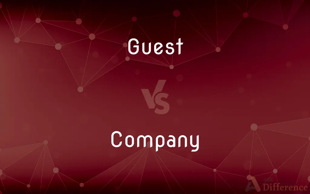 Guest vs. Company — What's the Difference?