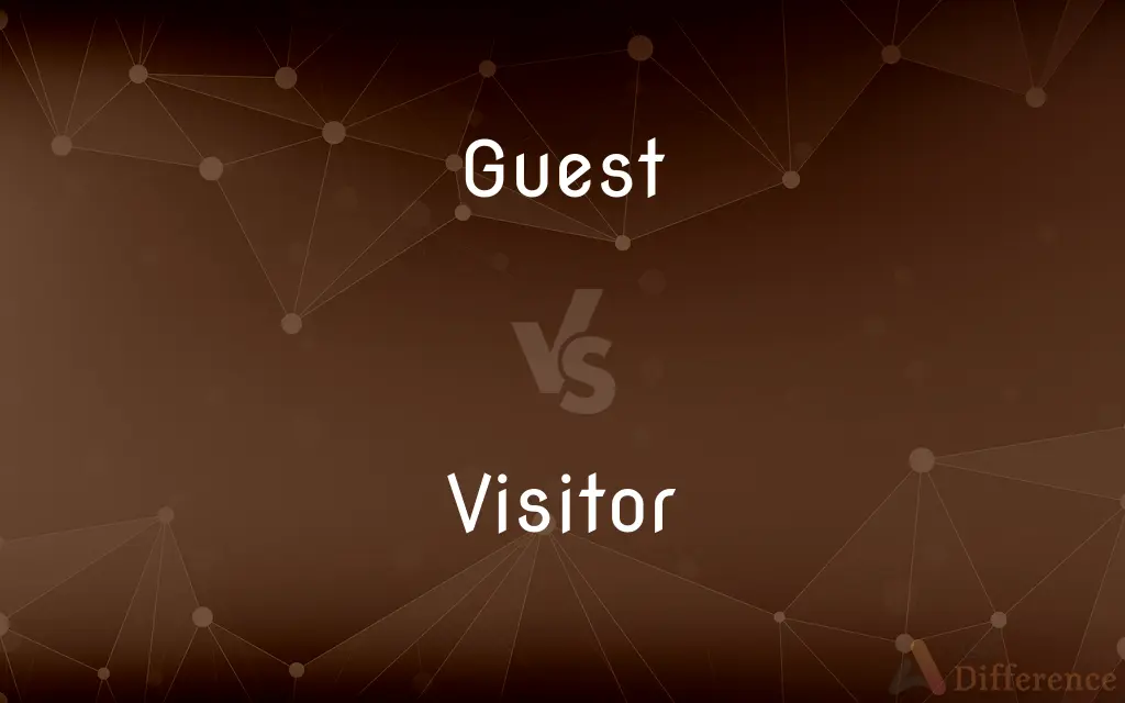 Guest vs. Visitor — What's the Difference?