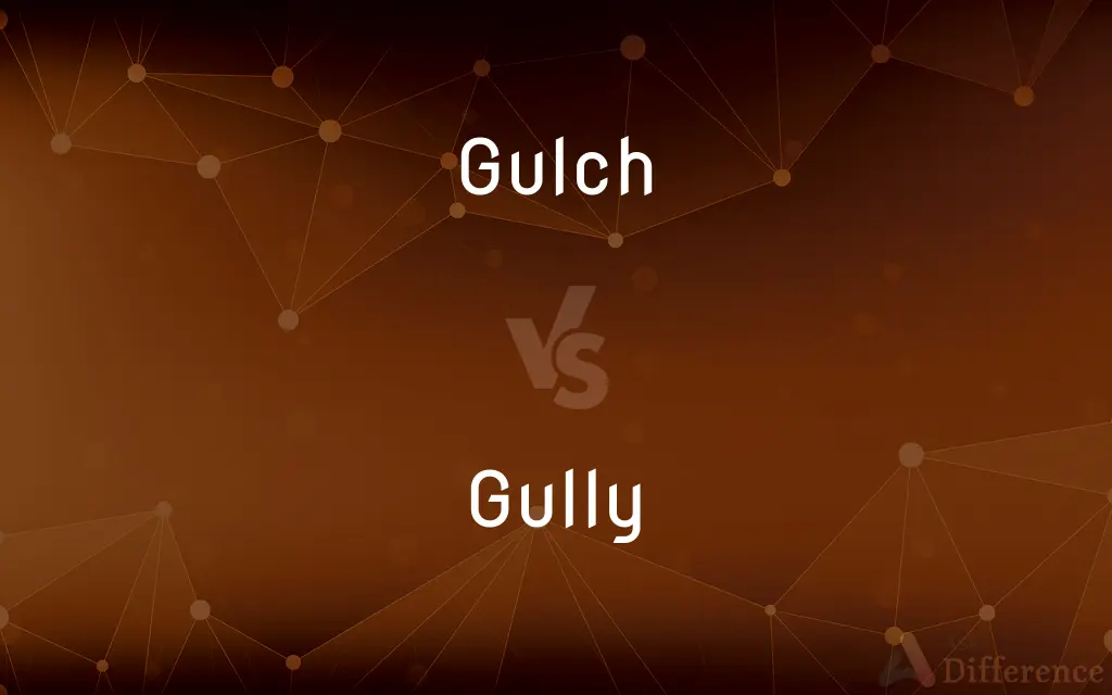 Gulch vs. Gully — What's the Difference?
