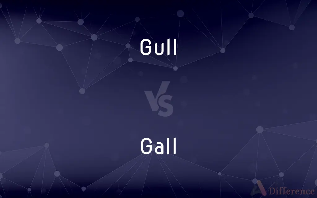 Gull vs. Gall — What's the Difference?