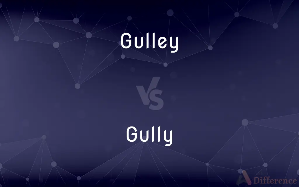 Gulley vs. Gully — What's the Difference?