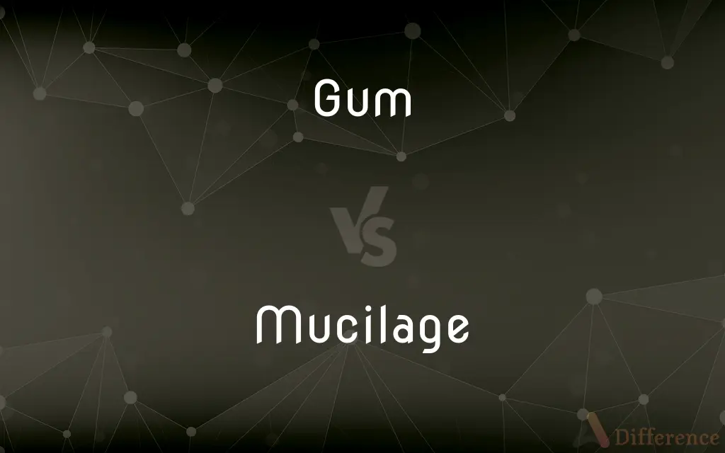 Gum vs. Mucilage — What's the Difference?