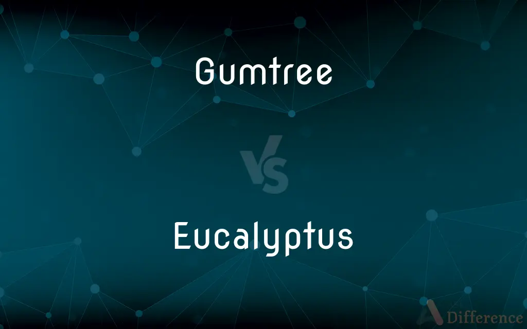 Gumtree vs. Eucalyptus — What's the Difference?