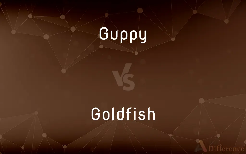 Guppy vs. Goldfish — What's the Difference?