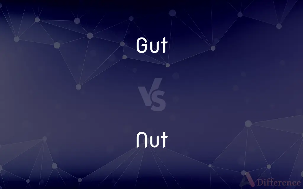 Gut vs. Nut — What's the Difference?